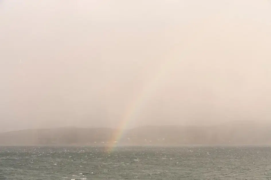 Água turva no aquário biótopo: causas e soluções naturais