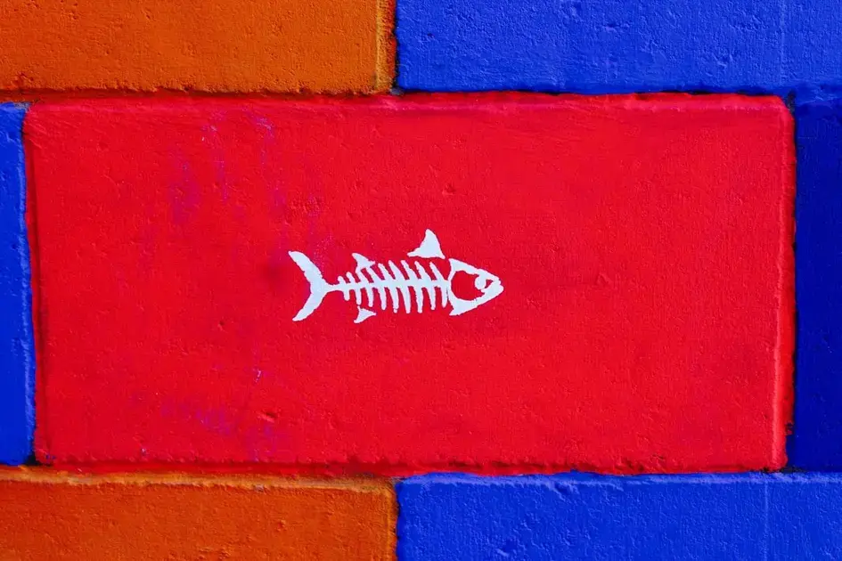 Espécies compatíveis para aquário biótopo africano de lago Malawi