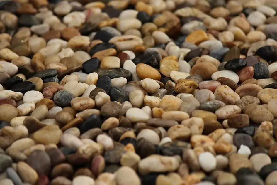 Substrato ideal para aquário biótopo: como escolher corretamente